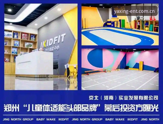 亚星体育平台注册登录全流程深度解析：从入门到精通的实用指南